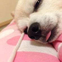 あきぴんのトーク