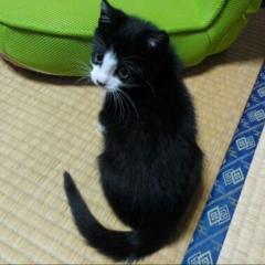 💌菜々💌