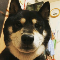 いのくま ふゆののトーク