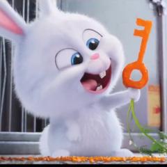 じゅん