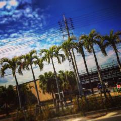 髪の悩み相談室