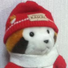 たけだのトーク