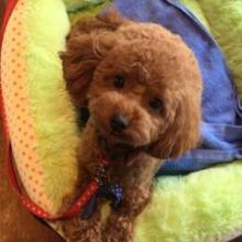 この@春から慶應のトーク