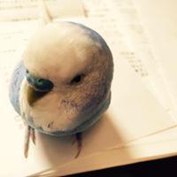 Yuri Yoshiikeのトーク