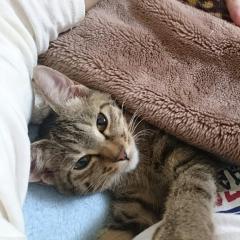 ひろとっぽ、っぽーい！