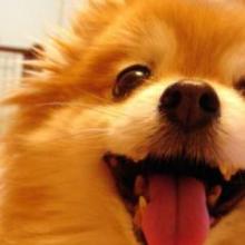 ゆうや/まんずのトーク