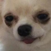 私は不器用な人