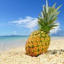 せとやまさとしのトーク