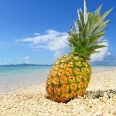 せとやまさとし