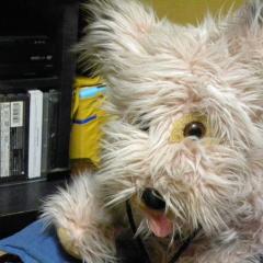 高橋陽子のトーク