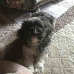 よねっちのトーク