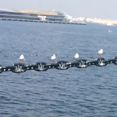 しおり