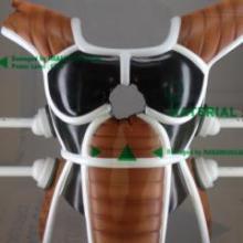 リリーです(^-^)/