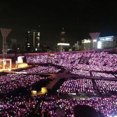 サイリウム(ペンライト)と会場。