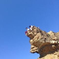 おおたあきのり@大学垢のトーク