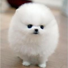 ゆうすけのトーク