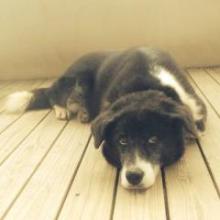 らりぃのトーク