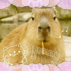 楽しく話しましょ(*＾艸＾)