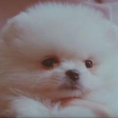 君の名は…のトーク