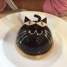 KPOP/韓国ドラマtalkしたいなー♪