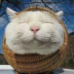 まなこ