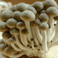 キモイキモイ先輩😱😱😱😱😱😱😱😱😱😱😱😱