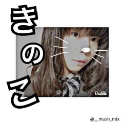 きのこ（無毒）