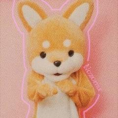 みやっち