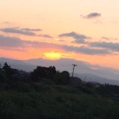 引っ越しました