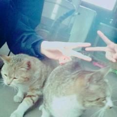 Lisa(`・ω・´)