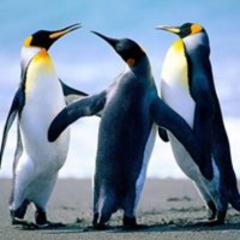 特になし