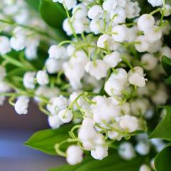 たけちゃのトーク