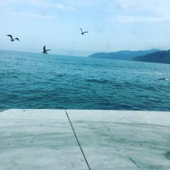 ✿ビジネスパートナー募集✿