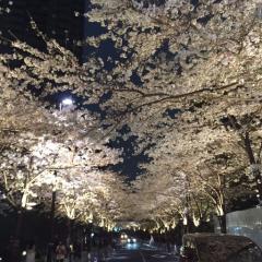 いけーだ