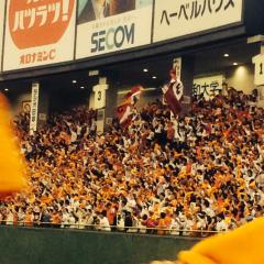 ジャイアンツファン！