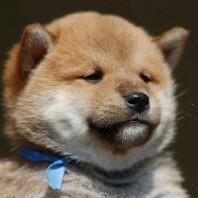 れんれんの個人トーク