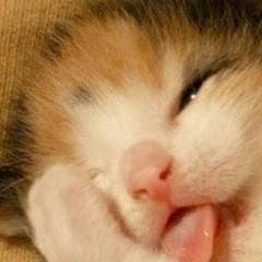 りり