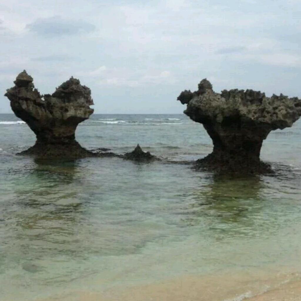 ひろきのトーク