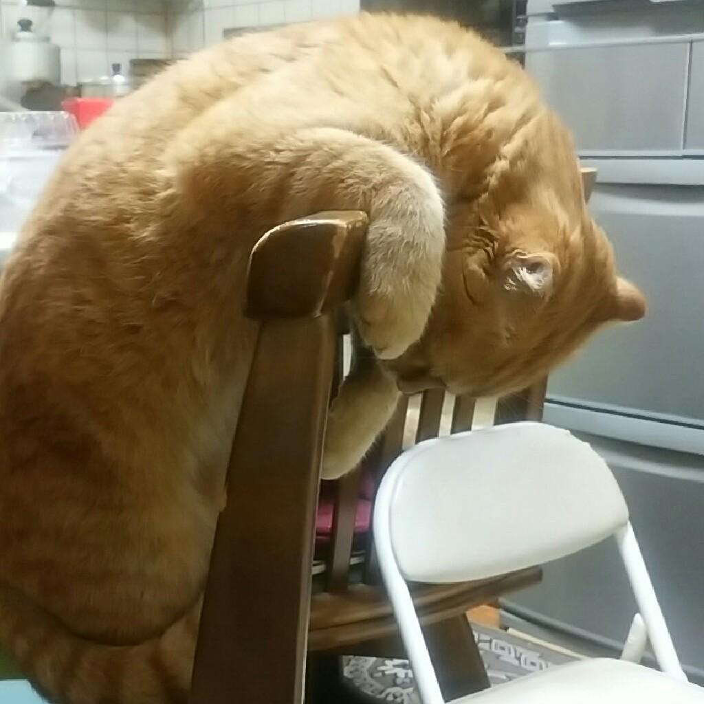 かばちの独り言