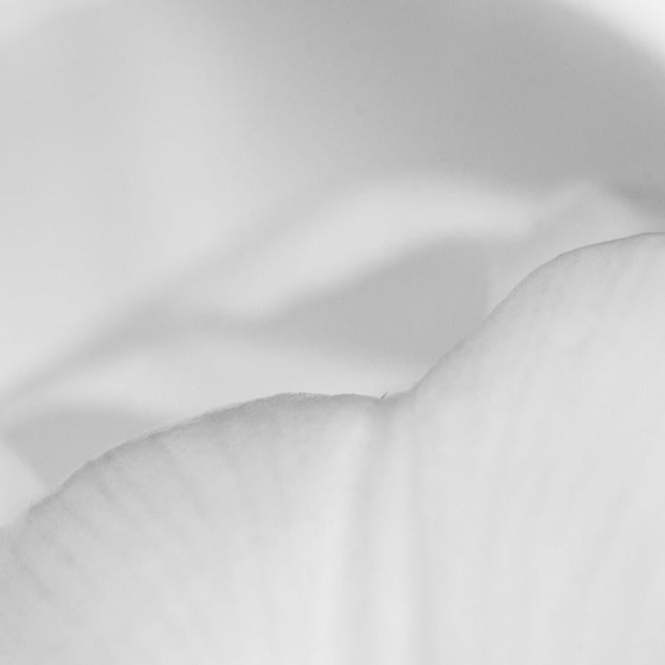 みんなからもぉ