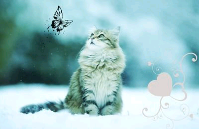 ❁ゆうき❁