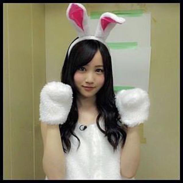 ハリネズミ