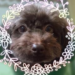 チビりんご