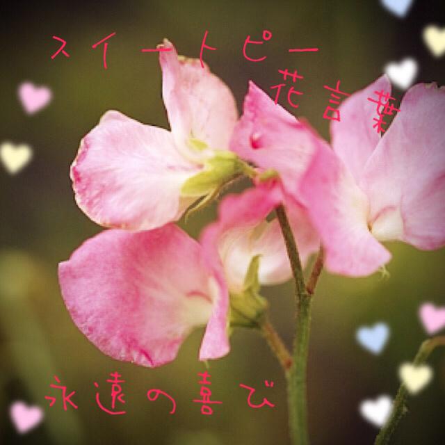 らぶたんとゆみのトーク♡