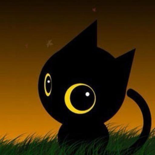 黒猫♪(=^・^=)