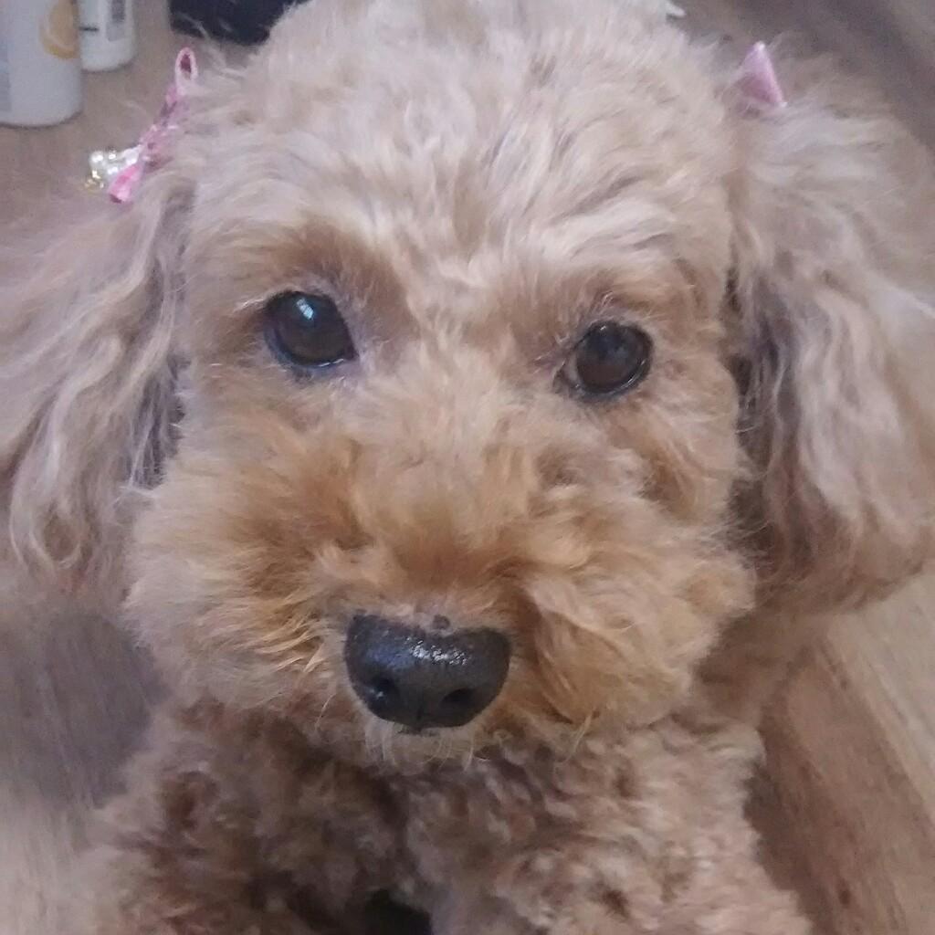 ⭐仲良し友達⭐