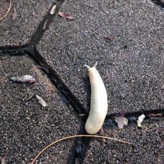 気持ち悪い写真の部屋