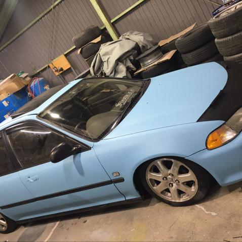 ☆ささやん@きんぎょかいぞく☆▽・x・▽