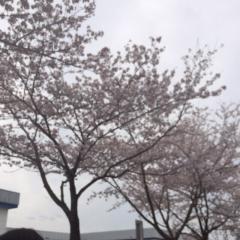 ゆるーくトークしましょ(*´罒`*)