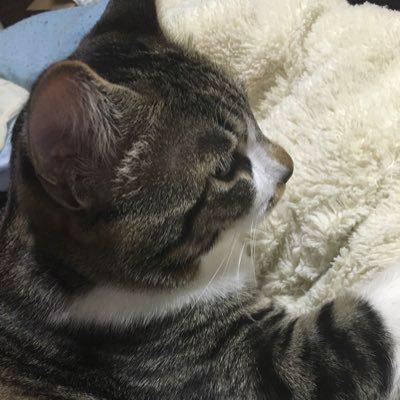 はっちのトーク